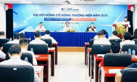 Kosy (KOS): Đặt mục tiêu lãi 118 tỷ đồng năm 2025 sau khi chỉ hoàn thành 20% kế hoạch 2024