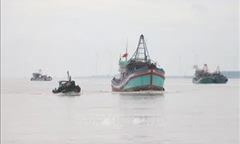 Giám sát chặt việc kiểm soát khai thác IUU tại địa phương