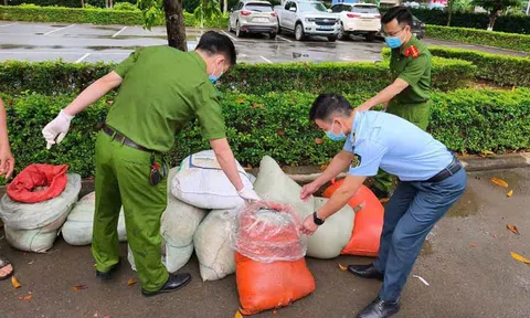 Phát hiện xe khách vận chuyển gần 1 tấn nội tạng động vật đang bốc mùi về Hà Nội tiêu thụ