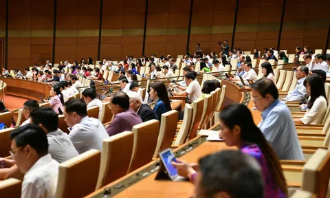 Công dân được ứng cử đại biểu HĐND ở 2 cấp trong cùng một nhiệm kỳ