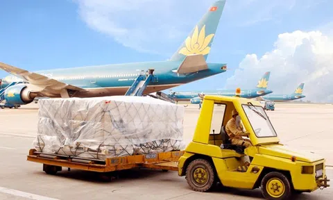 Dịch vụ Hàng hóa Nội Bài (NCT) đặt mục tiêu doanh thu đạt hơn 1.000 tỷ đồng trong năm 2025
