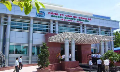 Cao su Sông Bé bị xử phạt hơn 137 triệu đồng