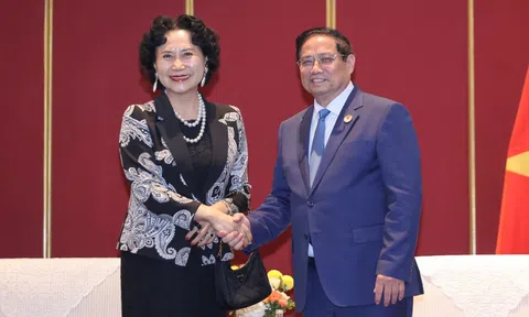 Thủ tướng tiếp Giám đốc Trung tâm Nghiên cứu Đặc khu kinh tế Trung Quốc (Đại học Thâm Quyến)