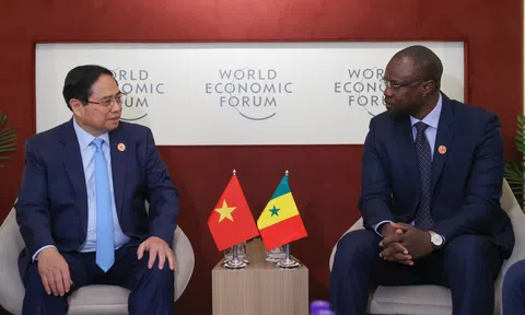 Senegal mong muốn Việt Nam tiếp tục hỗ trợ sản xuất lúa gạo và hạt điều
