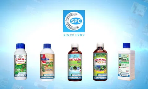 Khai sai thuế, dùng hóa đơn chứng từ không hợp pháp, Công ty Bảo vệ Thực vật Sài Gòn (SPC) bị phạt
