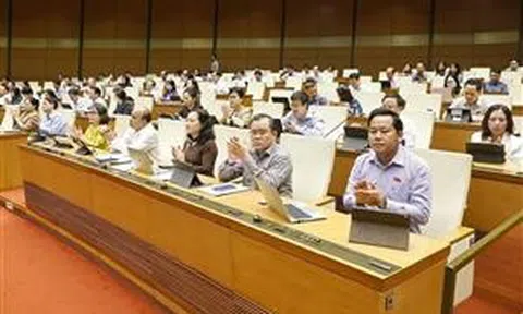 Chủ tịch Quốc hội làm Chủ tịch Hội đồng Bầu cử quốc gia