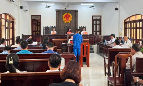 Tuyên án 13 bị cáo vụ sai phạm đăng kiểm tại Đồng Nai