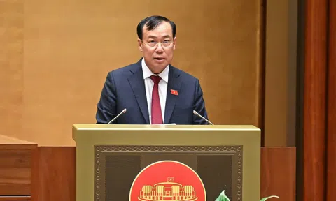 Quốc hội thông qua Luật Tham gia lực lượng gìn giữ hòa bình của Liên hợp quốc