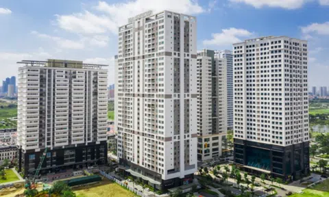 Taseco Group tất toán gần 136,5 tỷ đồng trái phiếu đúng hạn
