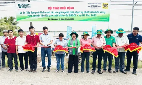 Bình Điền đẩy mạnh Dự án "Xây dựng mô hình canh tác lúa giảm phát thải phục vụ phát triển bền vững"
