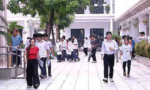 Ngữ văn: Học sinh nhìn thấy mình trong đề thi