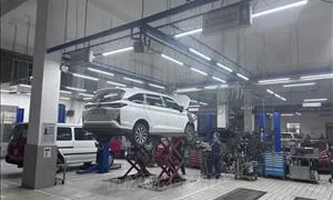 Lao động trẻ với cơ hội lớn trong xu hướng chuyển dịch nghề nghiệp