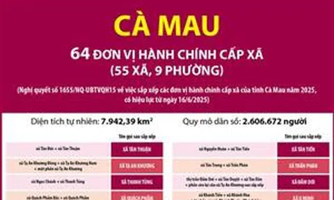 Thông tin chi tiết sắp xếp các đơn vị hành chính cấp xã của tỉnh Cà Mau