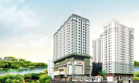 Saigonres (SGR): Chủ tịch và cổ đông lớn đăng ký bán 11,8 triệu cổ phiếu, công ty mới hoàn thành 5,9% kế hoạch lợi nhuận năm