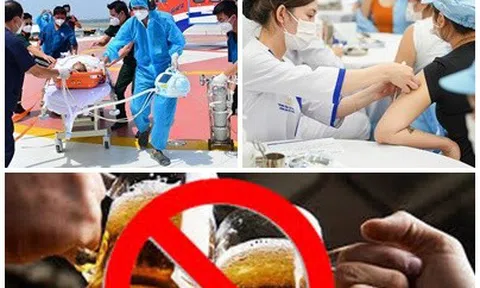 Giải thể một số tổ chức phối hợp liên ngành