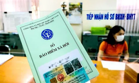 Mức hỗ trợ cho người tham gia bảo hiểm xã hội tự nguyện từ 1/7/2025, nhiều người cần biết