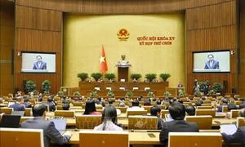 Nổi bật tuần qua: Sẵn sàng vận hành tổ chức bộ máy mới từ ngày 1/7; Xét xử vụ án Tập đoàn Phúc Sơn