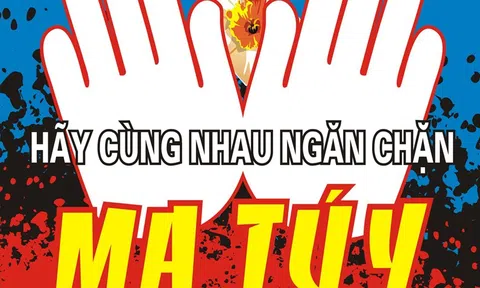 Thành lập Hội đồng thẩm định Báo cáo nghiên cứu Chương trình phòng, chống ma túy