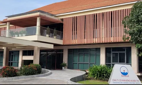 Đông Hải Bến Tre (DHC) rót thêm 90 tỷ đồng vào Công ty Giấy Giao Long