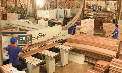 Gỗ Thuận An (GTA) báo lãi 6 tháng đầu năm đạt 3,2 tỷ đồng, mới hoàn thành 30% mục tiêu đề ra