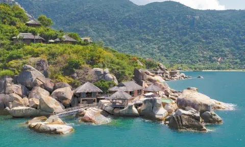 Ninh Vân Bay (NVT) có tân Tổng Giám đốc