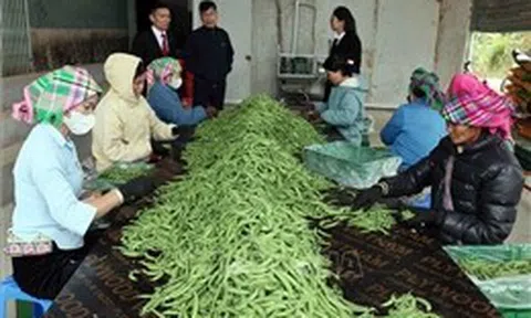 Từ ngày 1/7, nâng mức cho vay đối với cá nhân, hộ kinh doanh không có tài sản đảm bảo