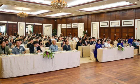 Liên hoan phim châu Á Đà Nẵng lần thứ ba: Phát triển vượt bậc về quy mô