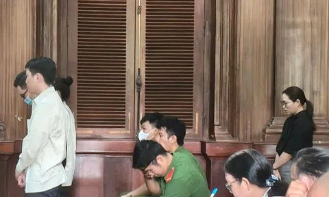Chủ tịch Vina Land và đồng phạm hầu tòa vì lừa đảo hơn 179 tỷ đồng