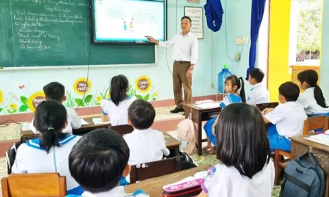 Dạy tiểu học cần có văn bằng gì?