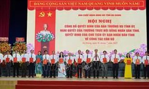 An Giang: 194 cán bộ được chỉ định, bổ nhiệm