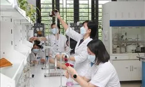 Chính sách ưu đãi phát triển hoạt động khoa học, công nghệ và đổi mới sáng tạo về dữ liệu