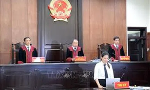 Kế hoạch triển khai thi hành 2 Luật về hình sự
