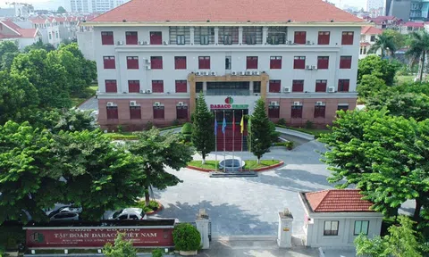 Tập đoàn Dabaco Việt Nam (DBC): Thành lập loạt pháp nhân mới đầu tư chăn nuôi, lợi nhuận nửa đầu năm vượt 1.000 tỷ đồng