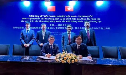 PVCFC: Mở rộng hợp tác để khẳng định vị thế trong chuỗi giá trị háo chất - phân bón
