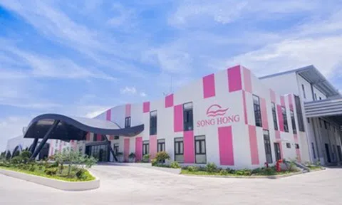 May Sông Hồng (MSH): Bị phạt và truy thu gần 1,7 tỷ đồng thuế, hoàn tất phát hành cổ phiếu thưởng tăng vốn điều lệ