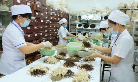 Hướng dẫn thanh toán BHYT đối với thuốc y học cổ truyền