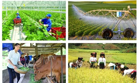 Kiện toàn Ban Chỉ đạo Tổng điều tra nông thôn, nông nghiệp năm 2025 trung ương