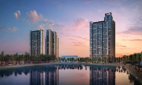 Tân Liên Phát Tân Cảng báo lỗ gần 400 tỷ năm 2024, lỗ lũy kế vượt 352 tỷ đồng