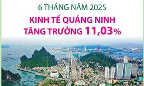 6 tháng năm 2025: Kinh tế Quảng Ninh tăng trưởng 11,03%