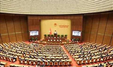 Nghị quyết Kỳ họp thứ 9, Quốc hội khóa XV