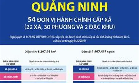 Thông tin chi tiết sắp xếp các đơn vị hành chính cấp xã của tỉnh Quảng Ninh