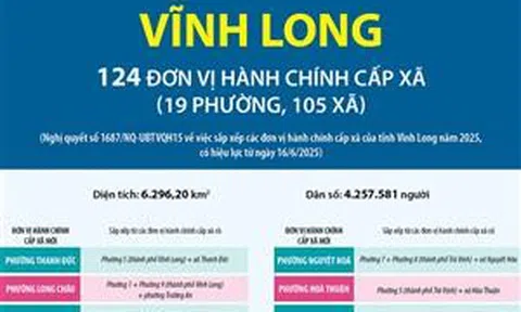 Thông tin chi tiết sắp xếp các đơn vị hành chính cấp xã của tỉnh Vĩnh Long