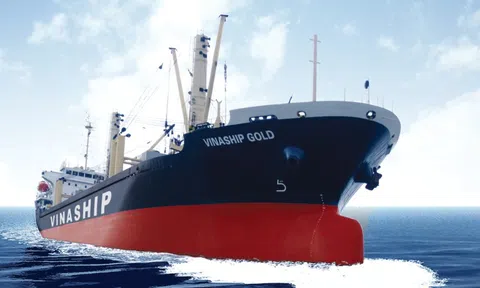 Vinaship (VNA) dự kiến bán tàu Vinaship Sea sau gần 3 thập kỷ khai thác