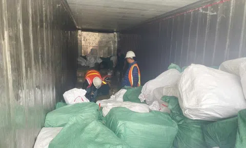 Xuất khống 1.400 tấn chân gà đông lạnh, Hải quan khởi tố vụ án trốn thuế 7 tỷ đồng