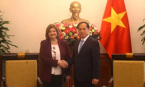Phó Thủ tướng Bùi Thanh Sơn tiếp Đại sứ Ai Cập chào từ biệt