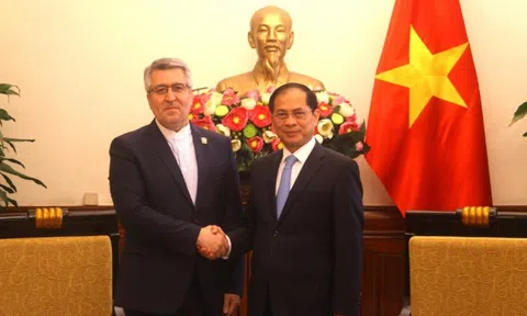 Phó Thủ tướng Bùi Thanh Sơn tiếp Đại sứ Iran Ali Akbar Nazari