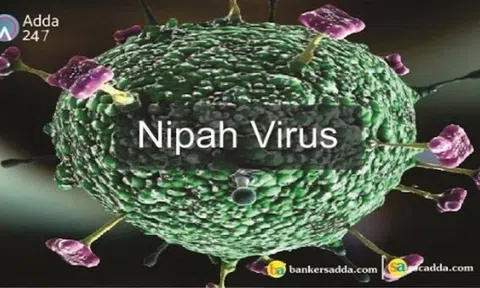 Virus Nipah mà 2 người ở Ấn Độ mắc phải nguy hiểm cỡ nào?