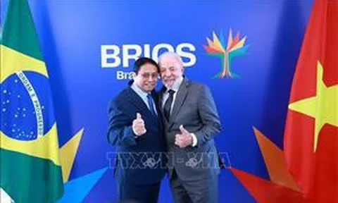 Thủ tướng Phạm Minh Chính hội kiến Tổng thống Brazil Lula da Silva