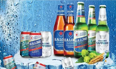 Doanh nghiệp bia này sắp chia cổ tức bằng tiền với tỷ lệ 'đậm' 110%