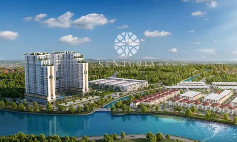 CTCP Bất động sản TMT trả 560 tỷ đồng tiền lãi, hé lộ cấu trúc vốn cho dự án của một tập đoàn bất động sản